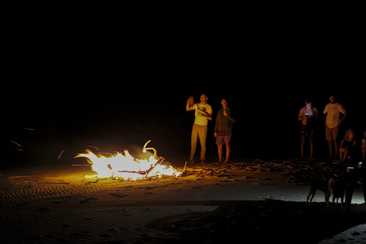 Fogata en la playa, de noche, con el grupo alrededor
